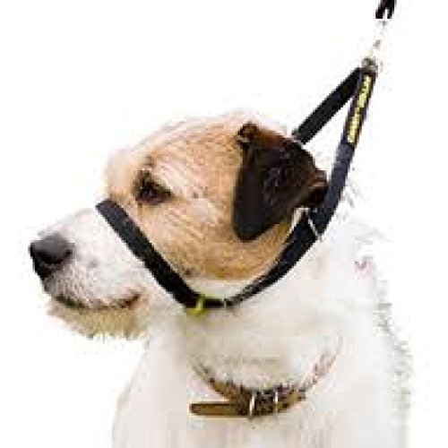 Preisvergleich Produktbild Halskette Halfter T3