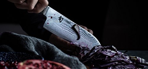 KAI Küchenmesser Shun Kochmesser 10 Zoll 25.5 cm, DM-0707 - 3