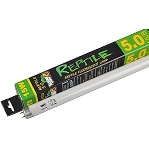 5.0fluoreszierend Tropische Terrarium Lampe, 15Watt, 45,7cm T8