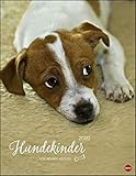 Hundekinder Posterkalender. Wandkalender 2020. Monatskalendarium. Spiralbindung. Format 34 x 44 cm by 