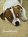 Hundekinder Posterkalender. Wandkalender 2020. Monatskalendarium. Spiralbindung. Format 34 x 44 cm by 