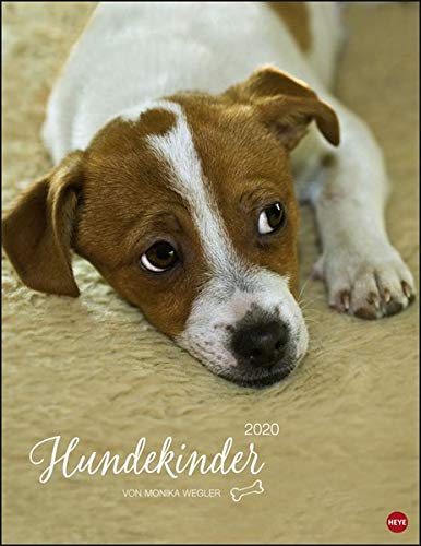 Hundekinder Posterkalender. Wandkalender 2020. Monatskalendarium. Spiralbindung. Format 34 x 44 cm