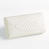 BIONATURE High Memory Foam Pillow, Neck Pain, Heavy People, 70 cm (Various Sizes)
