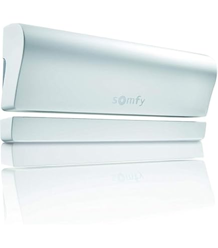 Sunteis Io Somfy Sensore Sole E Temperatura