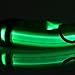 Produktbild LED-Hundehalsband / Leuchthalsband aus Nylon, mit blauem Blinklicht grün