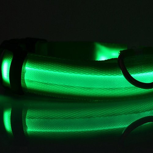 Preisvergleich Produktbild LED-Hundehalsband / Leuchthalsband aus Nylon, mit blauem Blinklicht grün
