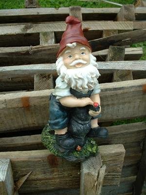 4 Lustige Gartenzwerge Gnome 22cm NEU Gartenzwerg NEU - 5