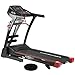 Produktbild Ultrasport motorisiertes Laufband LB 140-Pro für zuhause, klappbarer Heimtrainer mit 3-fach verstellbarer Neigung, Geschwindigkeit von 0,8 bis 14 km/h, 1.000 Watt Leistung, belastbar bis 110 kg
