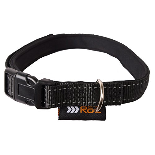 RAC Collar Acolchado Reflectante