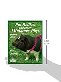 Image de Pot Bellies and Other Miniature Pigs: Everything About Purchase, Care, Nutrition, Breeding, Behavior, and Training