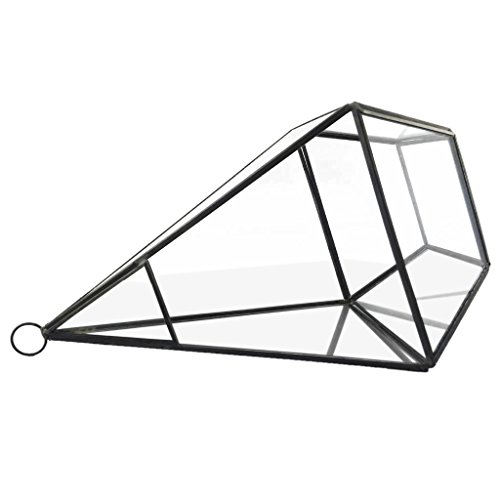 Generic Modern Design Glas Terrarium Geometrisches Sukkulente Pflanzen Deko – Rautenförmig – 12 * 12 * 24,5 cm - 5