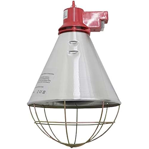 Are Heat Lamps Safe For Puppies at Stacy Pell blog