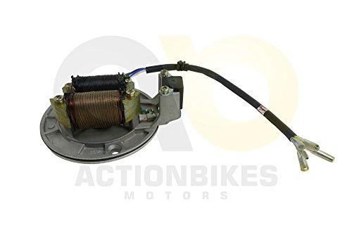 Preisvergleich Produktbild Actionbikes GmbH Mini Quad 110cc / 125cc Lichtmaschine (2 Wicklungen,eckig