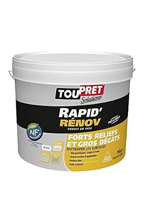 Toupret Sa Enduit de rénovation et garnissant pâte Rapid rénov blanc TOUPRET, 15 kg