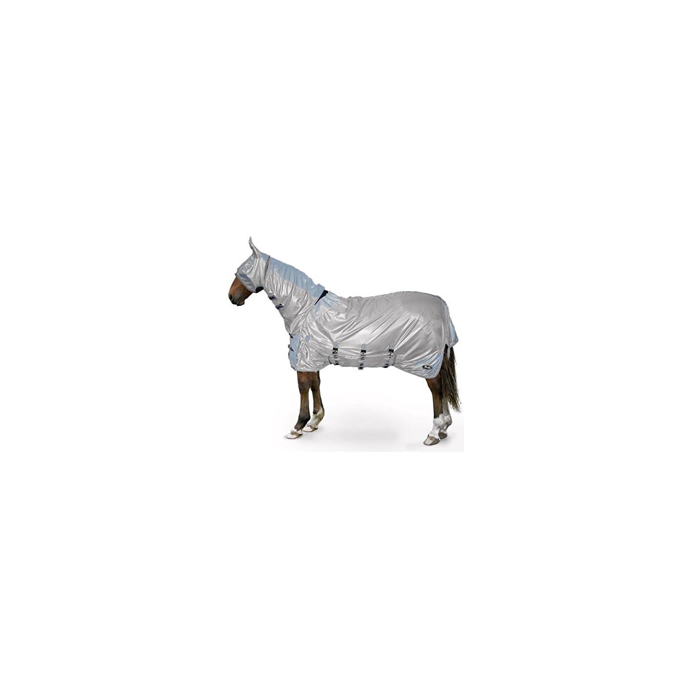 Horse ‘n’ Pony