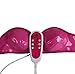 Produktbild Elektronische BH Brust Brust Stimulus Gerät Nippel Massage Elektro Fuller Massager Für Fuller Firmer & Rounder Brüste (Pink)