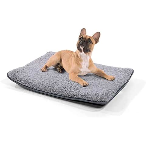 Suchergebnis auf Amazon.de für: Hundebox - Schlafplätze & Möbel / Hunde