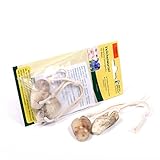 Veilchenwurzel Doppelpack (B-Ware) günstig NEU