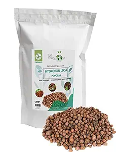 Jayamani Hydrotons, Leca Lightweight Expanded Aggregate popclay for Hydroponics and Aquaponics, 9L