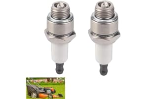 LUNPOG 2 Stück RJ19LM Zündkerze 4-Takt Rasenmäher Spark Plug for Briggs & Stratton 796112 796112S 796112 3121-C5-0041 Champio