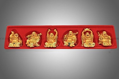 Lucky Laughing Budhha Happy Man All 6