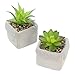 Produktbild Frank Flechtwaren Deko-Pflanze Sukkulente im 2er Set