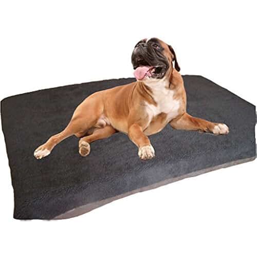 Amazon.co.uk kirkland dog beds
