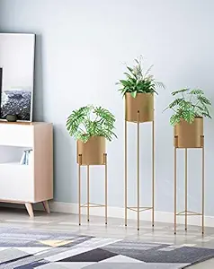 Set of 3 Modern Plant Stand- Set with Tall Metal Stand, Decorative Standing Flower Succulent Gold Stand Gold Pot Pot Holder, Indoor Outdoor Terrace Patio Home Decor