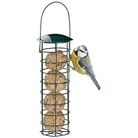 Amazonfr Oiseaux Sauvages Jardin Mangeoires