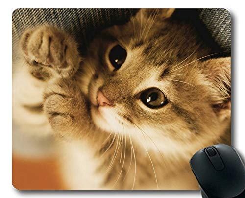 Preisvergleich Produktbild Mauspad, Katzenmauspad, Mauspad für Computer cat296