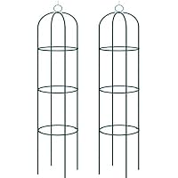 Amazon.es: Soportes para plantas: Jardín