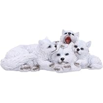 Statua Lupo Nemesis Now 27,5 Cm - Ornamento In Resina Primavera/inverno