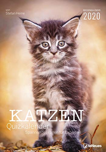 Stefan Heine Katzen-Quiz 2020 - Wochenkalender - Stefan Heine - 23,7x34cm - Quizkalender - Katzenkalender