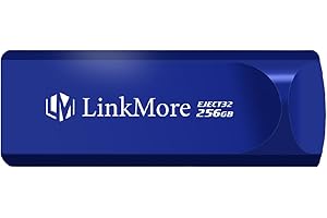 LinkMore EJECT32 256GB USB 3.2 Flash Drive, velocità di lettura fino a 100MB/s, design retrattile Thumb Drive, Pen Drive Memoria Stick Flash Drive Thumb Drive per PC, Laptop