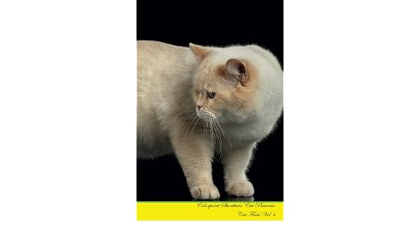 Buy Colorpoint Shorthair Cat Presents Cat Facts Book Online At Low
