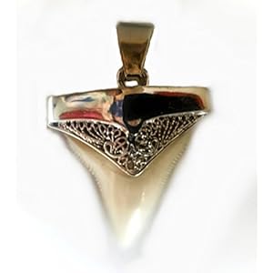 Anhänger echten Haifischzahn Silber filigrane