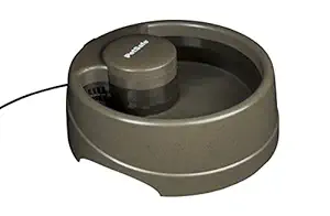 PetSafe Current Pet Water Fountain - Circulating Drinking Fountain for Cats and Dogs - Small, Forest, 40 oz Capacity Water Dispenser - Carbon Filter Included - Easy to Clean Design