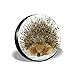 Produktbild Bag hat Hedgehog with Splash Watercolor Spare Wheel Tire Cover Rain 17" for Diameter 31"-33"