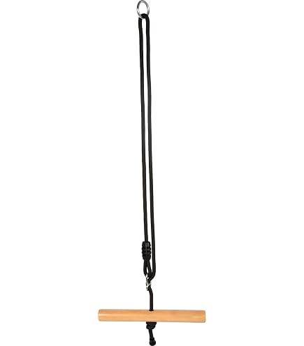 Small Foot Trapezoidal Swing With Gym Rings "Black Line