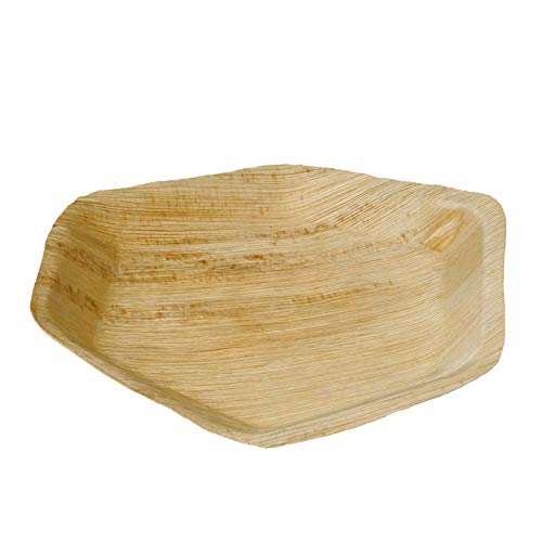 25 Assiettes Palmier Hexagonale 24 cm