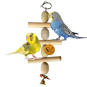 Sage Square Playful Natural Wooden Bead Hanging Swing Toy for Parrot, Budgies, Cockatiel, Lovebird, Budgerigar, Sun Conure, Finch, African Grey, Canary, Cockatoo, Macaw Birds