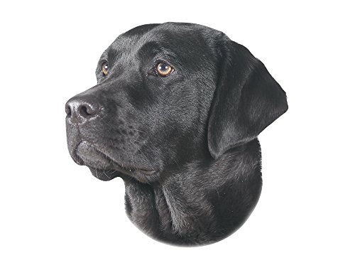 Nobby 93266 Aufkleber Labrador, schwarz
