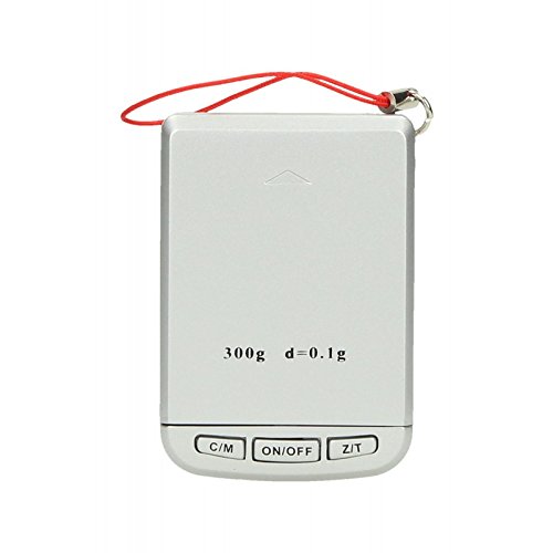 DIPSE Digitalwaage Schlüsselanhänger 300g x 0.1g - Waage