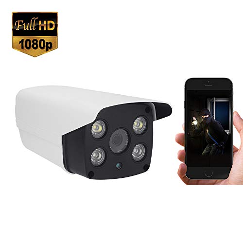 Preisvergleich Produktbild DIDseth Poe IP Kamera 1080P IP Überwachungskamera Dual Licht Sicherheitskamera Außenkamera Wasserdicht IP66