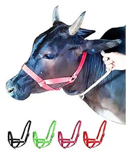 Petley Export Quality Nylon Cow Halter (Large, Red)