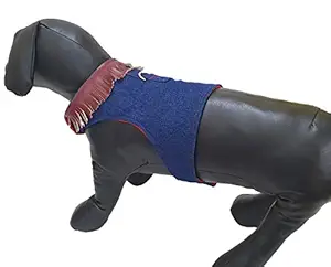Kitty & The Woof Gang Denim Body Harness with Faux Leather Collar with a D - Ring for Leash | Handmade Body Harness for Dog and Cat | Size XS