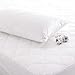 Dr Twiner® Anti Allergy Treated Luxury Quilted Fitted Mattress Protector, Double Size Bed - Mountain Moose Co.