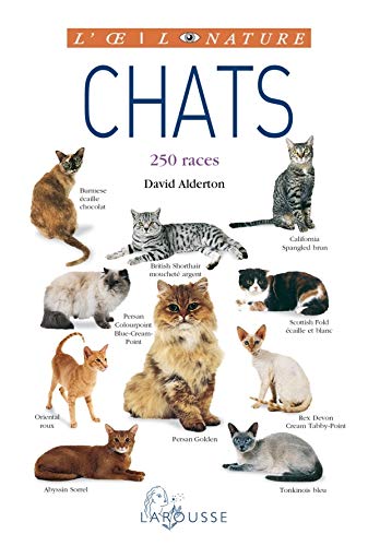 Télécharger Chats - nouvelle présentation Gratuit