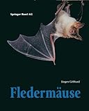 Image de Fledermäuse