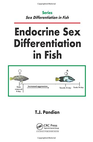 Endocrine Sex Differentiation in Fish